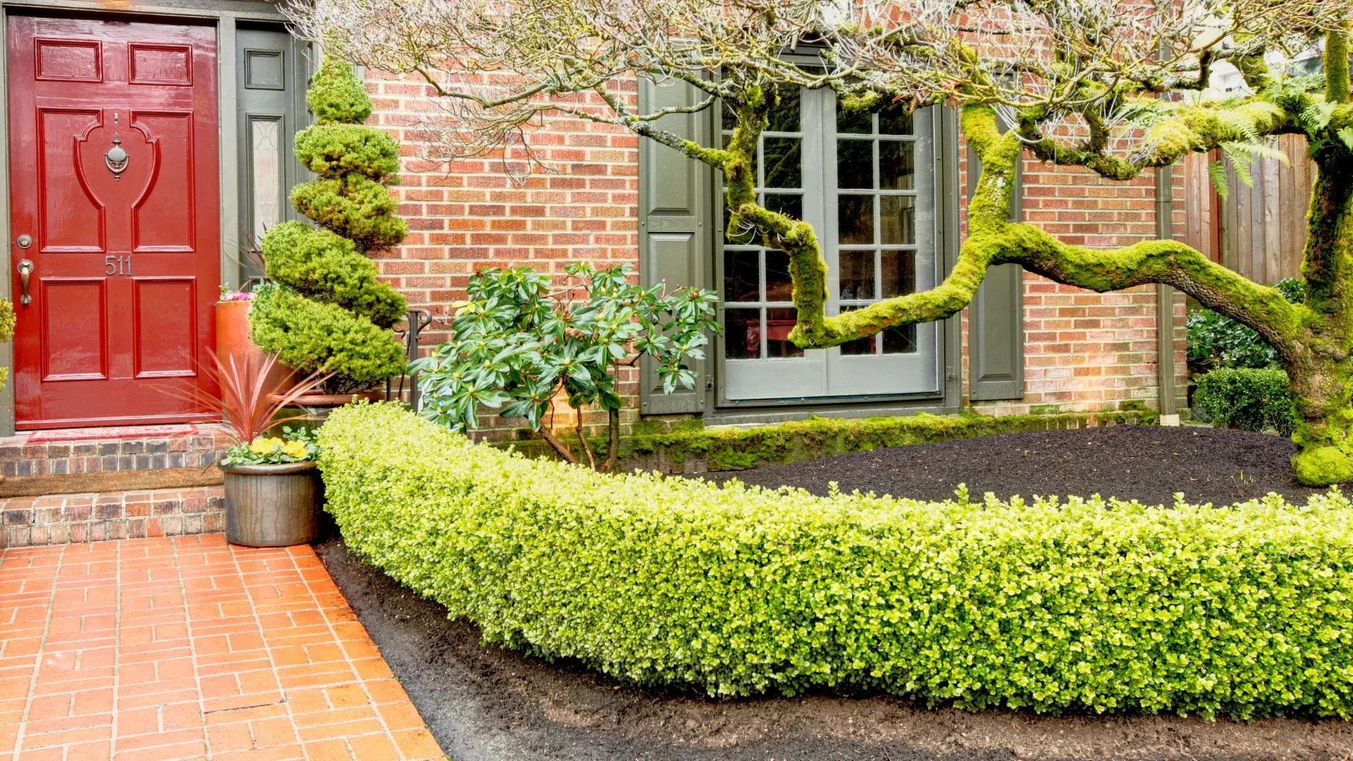 Front entrance with hedges and a red door