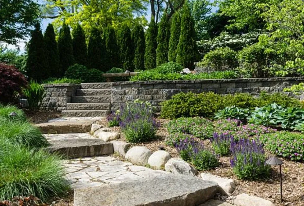 Natural stone steps rising through a planted garden with layered retaining walls